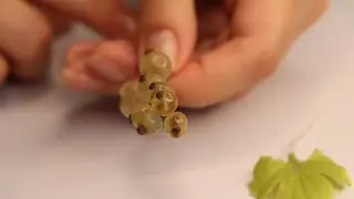 White currant made of transparent polymer clay (transparent cold porcelain)