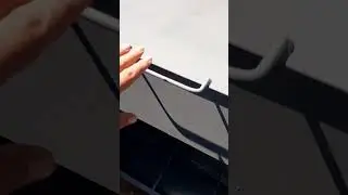 Откорм поросят свиней авто кормушка бункерная кормовой  автомат #животноводство #свиноферма#поросята