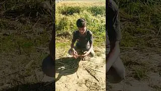 baccha hka hai #trending #video #viral #viral #shorts #fun