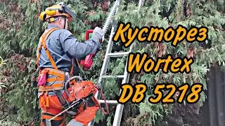 Стрижка туй Кусторезом Wortex DB 5218 и husqvarna 435 t #благоустройство #сад #туи #ландшафт