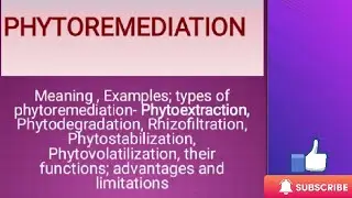 Phytoremediation; Types of Phytoremediation, Advantages and Limitations