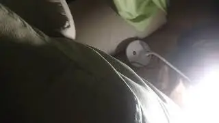 Что происходит???? ААААА!!!!