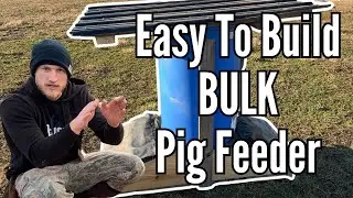 DIY- Gravity Fed Pig Feeder