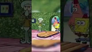 Hilarious Memes I Found on Tiktok