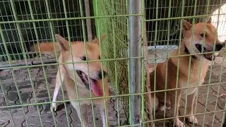 개병대 정규생방ㅡ아직도 덥네요