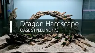 Dramatický Hardscape s Dragon stone a Dragon wood (www.shrimp.sk)