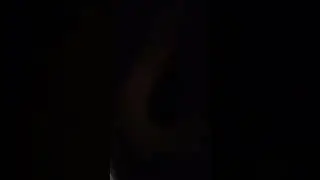 7 ноября 2023 г.