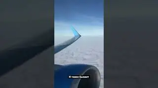 Угадай авиакомпанию ✈️