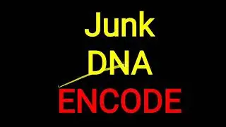 Junk DNA II ENCODE