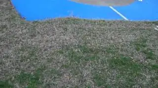 Munster - Shot 2.MP4