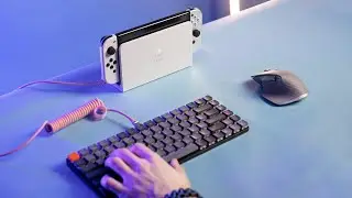 Using a Mouse & Keyboard on Nintendo Switch...