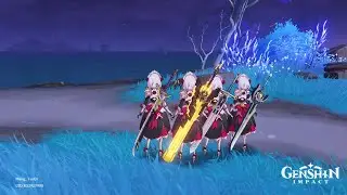 noelle co op in nutshell [GENSHIN IMPACT]