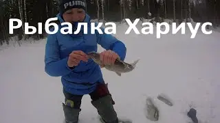 Рыбалка Хариус.Воды МОРЕ!Снегоход водомет! Рыбалка КОМИ УЛЕТ!