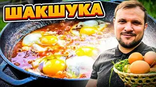 Shakshuka. Fried eggs in tomato-vegetable sauce