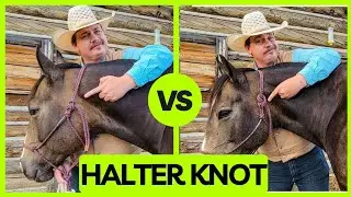 How To Tie A Rope Horse Halter Knot...CORRECTLY