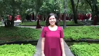 OSHO Music and Meditation Monsoon Festival 2018 Day 1 Music and Dance Celebration