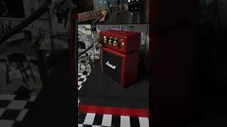 Rocking in the lunar new year with Marshall! 