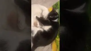 Там, где царит любовь!