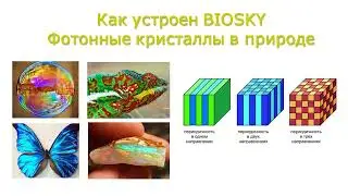 Презентация BIOMEDIS BIOSKY  Натуропат, ВРТ диагност