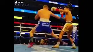 #UFC 20