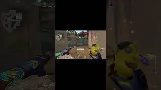 Clean Gekko Ace