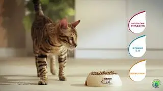 Purina Cat Chow сухой корм для котов