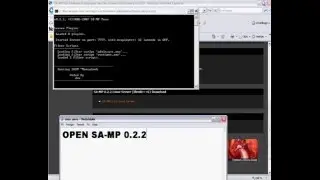 Make a samp server