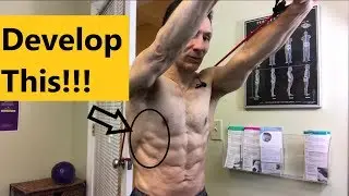 2 Serratus Anterior Exercises With Resistance Bands