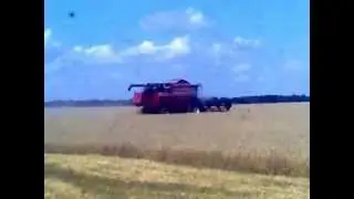 Палессе gs14.mp4