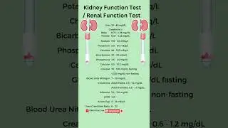 Kidney Function Test | RFT | KFT | kidney test / gfr 