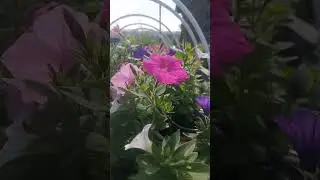 план и работа загородная усадьба