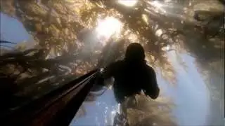 Kayaking and Freediving