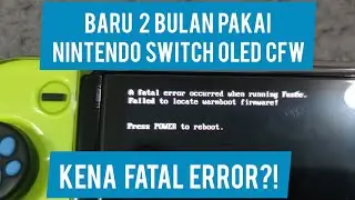 Nintendo Switch Oled Fatal Error Padahal Baru dipake 2 Bulan