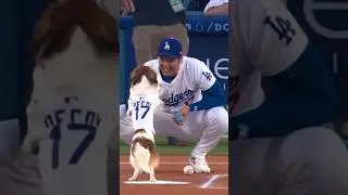 First ever opening pitch by a dog with Dodgers
