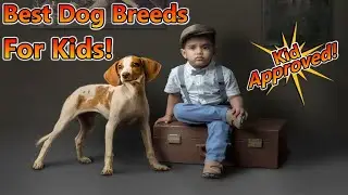 What Are The Best Dog Breeds For Kids?