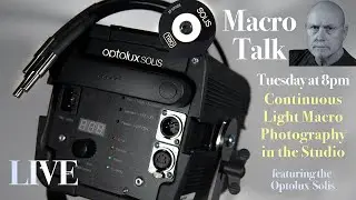 A Continuous Lighting Workshop - Macro Talk #98 -  AWPhotography, 6/11/24