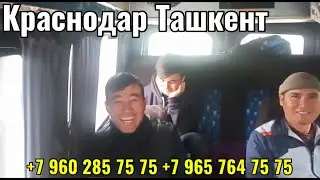 Краснодар Ташкент такси,Краснодар Ташкент автобус,Ростов Ташкент автобус,Волгоград Ташкент автобус