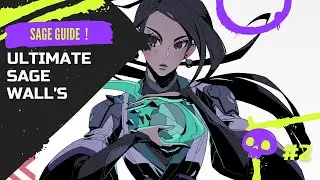 Everything You Ever Wanted to Know About SAGE WALLS 