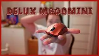 Delux M800 Mini — Лёгкая игровая мышь? Честный обзор спустя время