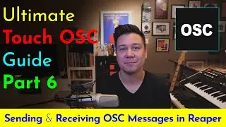 Sending & Receiving OSC Messages in Reaper (Ultimate Guide to TouchOSC)