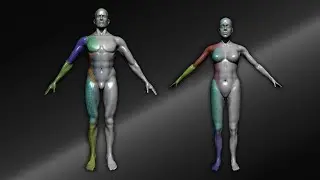 Common Mistakes   ZBrush Anatomy and Character Creation Course