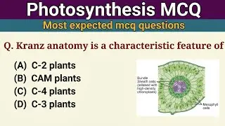 Photosynthesis MCQ | Biology MCQ 2024 | NEET 2024 MCQ | Class 11 Biology MCQ