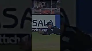 Amazing caught | Cricket status video #shorts #youtubeshorts #trending