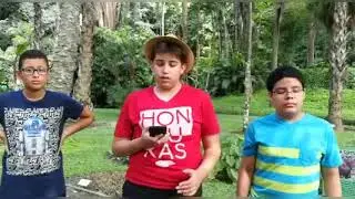 Él jardín botánico