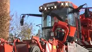 Sugar beet Harvester Holmer Terra Dos / Свеклоуборочный комбайн Холмер