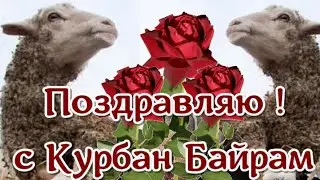 Курбан Байрам! С праздником Курбан Байрам поздравляю мусульман ! Красивая видео открытка