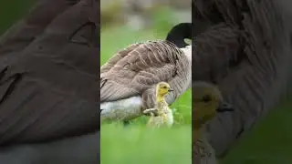 красоты вам в ленту!😍