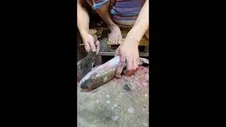 How to Perfectly Cut Batta Fish | A Quick Step-by-Step Guide 