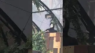 Angerfist Free festival 2022