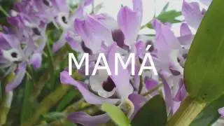 No es cualquier mujer/ KM-5